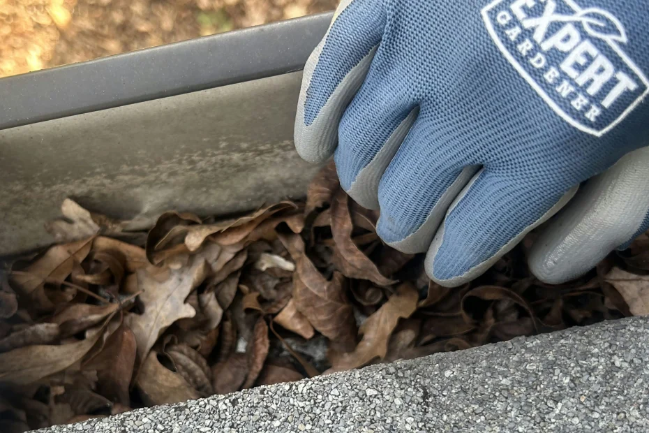 Gutter Cleaning Midtown